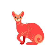 Основные RGB