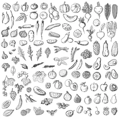 Fotobehang Set van groenten, fruit en bessen. Cartoon vectorillustratie. Geïsoleerde objecten op een witte achtergrond. Handgetekende stijl. © AlekseiMuravev