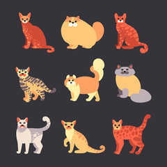 Основные RGB