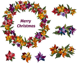 Set of poinsettia flowers and christmas wreath on a white background. Realistic hand-drawn vector illustration for greetings, invitations, and design.