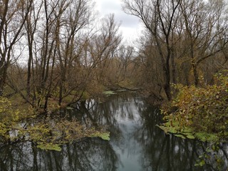 Fototapeta na wymiar swampy river in the autumn forest