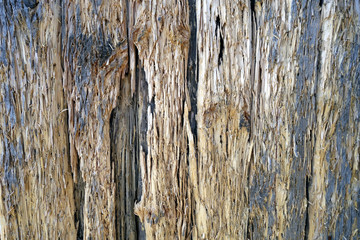 Old grungy wooden wall.