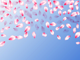 Japanese cherry blossom pink flying petals
