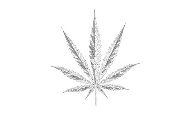 Low poly 3D medical marijuana leaf. Legalize medical pain treatment concept. Cannabis weed medicine isolated object symbol. Legal state traditional prescription vector illustration