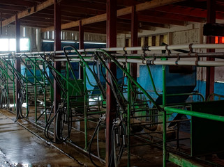 Fototapeta na wymiar milking machine on the farm, Russia.