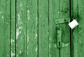 Grungy wooden door with lock in green tone.