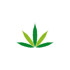 Simple CBD cannabis leaf icon logo design template
