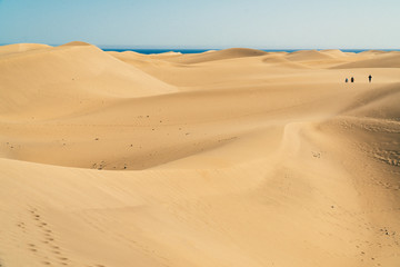 Fototapeta na wymiar Wide landscape view of vast smooth sand dunes in Maspalomas, Las Palmas of Gran canaria, tropical Canary island in Atlantic ocean, Spain, people in distance