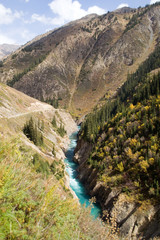A river with blue water flowing in a deep canyon with high steep banks, with autumn trees on the shore. Small Naryn River, Kyrgyzstan