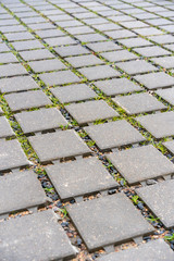 beautiful background of paving slabs closeup