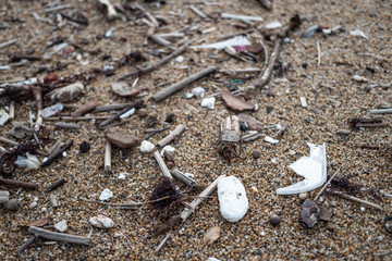 Pollution de Plage