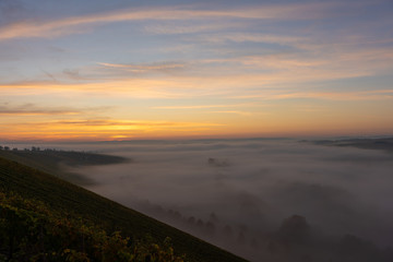 Sonnenaufgang in den Weinbergen über dem herbstlichen Main im Nebel