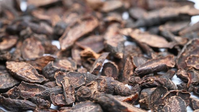 side view herb medicine XiangFu or Cyperi Rhizoma or Nutgrass Galingale Rhizome rotate and pause