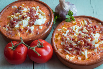 Salmorejo, typical Spanish food served in clay dishes on dark background