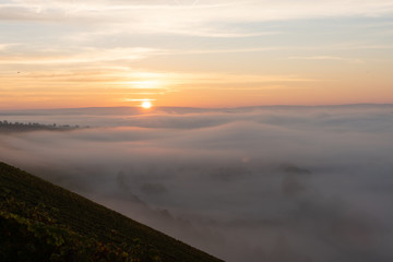 Sonnenaufgang in den Weinbergen über dem herbstlichen Main im Nebel
