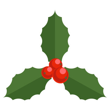 Holly berry Christmas icon. Element for design. Cartoon simple mistletoe decorative red and green ornament.
