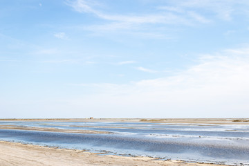 Un jour d'été en camargue