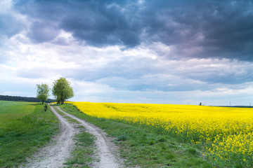 Fototapeta na wymiar farm land landscape in spring scenery