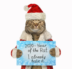 The beige cat in the red Santa Claus hat and a winter coat is holding a sign that says  2020 - Year...