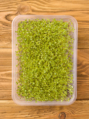 Micro greens in refillable polypropylene containers. Green sprouts watercress salad and ruccola on a linen rug. Homegrown