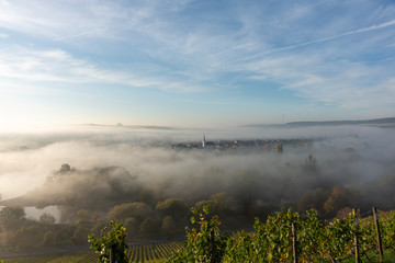Obraz premium Blick von den Weinbergen auf Escherndorf und seine Kirche im Nebel