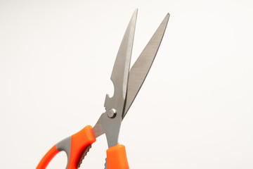kitchen scissors close-up on white background
