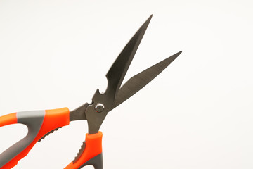 kitchen scissors close-up on white background