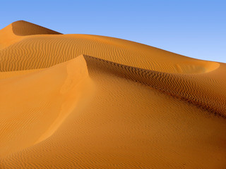 Desert Scene in Liwa Desert, Empty Quarter, Abu Dhabi