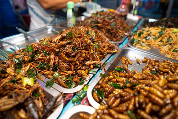 Fried insects street food in bangkok thailand