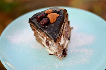Delicious homemade sponge cake with sour cream with cranberries, decorated with chocolate icing and nuts