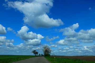 Spring sky
