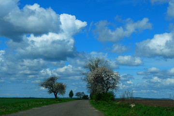 Spring sky