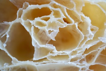 crumb of tender bread, food abastract background