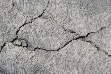 texturas concreto