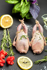 Fresh raw meat quails with herbs and greens rosemary, basil ready for cooking on close-up. Uncooked...