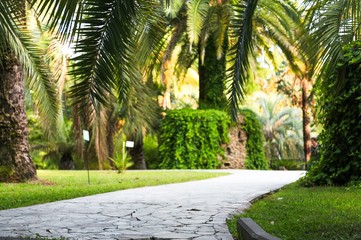 Obraz premium Street.