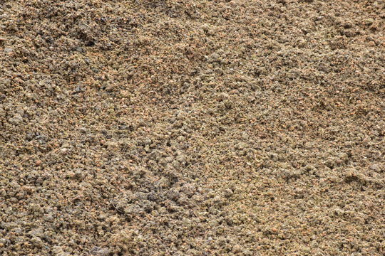 La sansa di olive &egrave; un sottoprodotto del processo di estrazione dell'olio di oliva composto dalle buccette, dai residui della polpa e dai frammenti di nocciolino. La sansa &egrave; riciclata nell'industria a