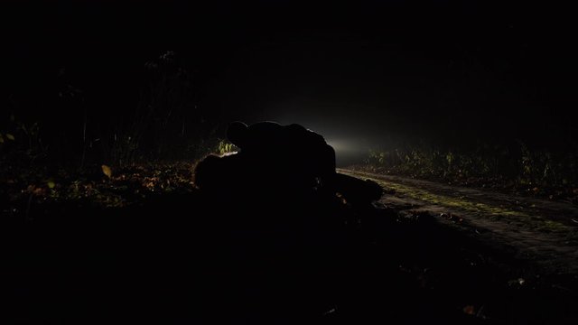 Handheld action shot: Aggressive man catches a girl running down a country road at night, knocking her to the side of the road at night, people fighting against the background of headlights of a car