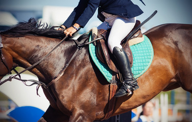A rider on sits astride a horse in the saddle while the horse is in a jump over a barrier at an...