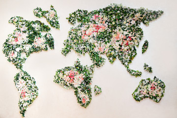 Map of world made from different kinds of flowers, world map on a white wall in the interior, made...