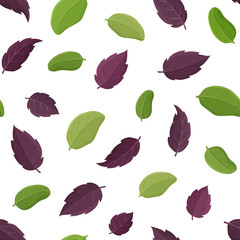 Seamless herb vector pattern. Cartoon hand drawn basil leaf on white background. Flat illustration for fabric, textile, wallpaper, napkins. Isolated leaves of green and purple plant. Floral design