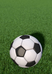 Fototapeta na wymiar Fußball liegt auf Rasen, Hochformat