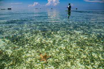 Clean & clear water of Mabul Island 