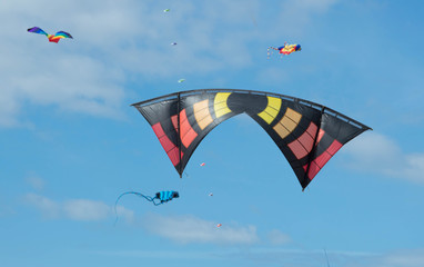 Kites 3