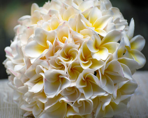 Round Posy, Wired Bridal Bouquet of Yellow and White Frangipanis. Wedding  Flowers. 