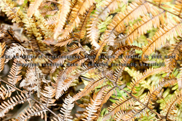 Text quote be an artist with flower leafs background fifty megapixels prints