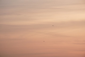 dramatic sky sunset with birds