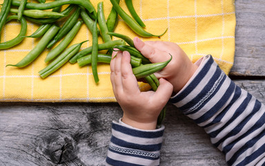 Child hands is taking ripe raw tasty healthy green beans from the rustic wooden table, close up shot