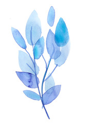 Watercolor abstract blue branches with leaves. Hand made botanical illustration. Nature elements for design and scrapbooking. Isolated on white background.