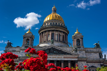 Fototapeta na wymiar Russia, Saint Petersburg: Golden dome of famous Saint Isaac's Cathedral or Isaakievskiy Sobor with sculptures and columns in the city center of the Russian town with red roses flowers and blue sky.